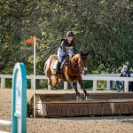 Sekt, Street Ready Among Many Standouts at 2025 Thoroughbred Makeover
